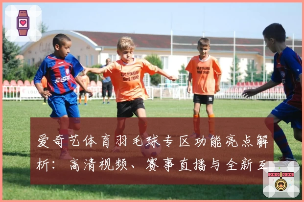 爱奇艺体育羽毛球专区功能亮点解析：高清视频、赛事直播与全新互动体验
